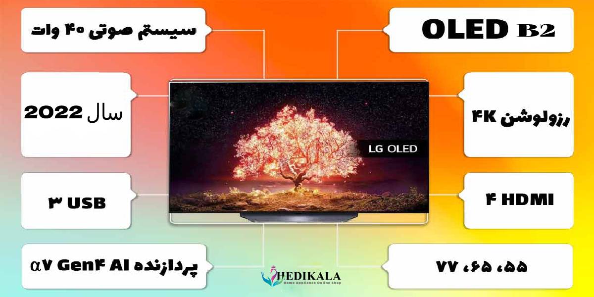 پورت ها و درگاه های ارتباطی در تلویزیون 65 اینچ اولد ال جی LG مدل OLED 65B2